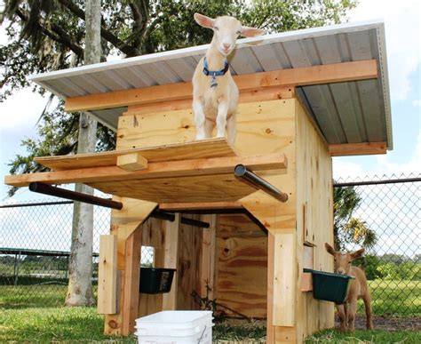 miniature goat shed ideas